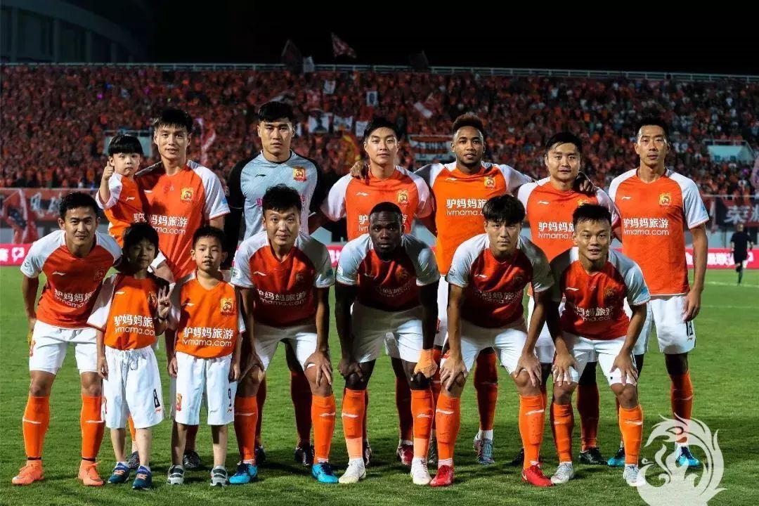 支持和协作 支持和协作